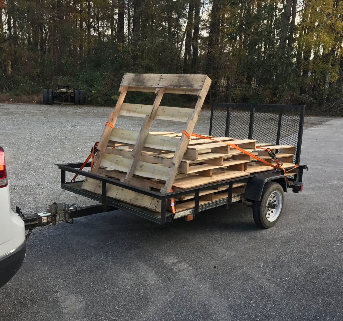 Carry-On Trailer 5.5-ft x 9-ft Steel Mesh Utility Trailer with Ramp Gate
