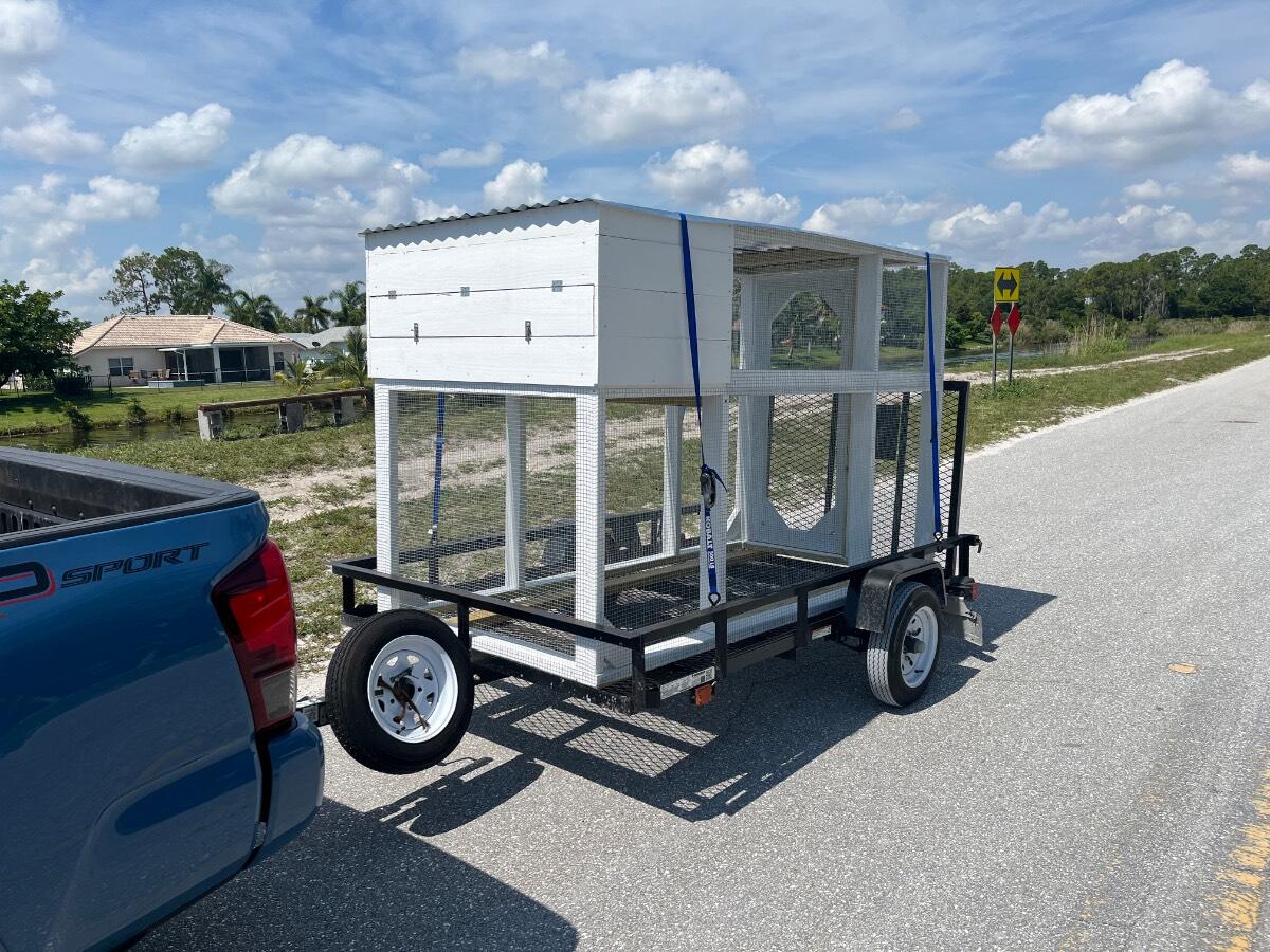2021 Carry on 5x8 utility trailer with ramp