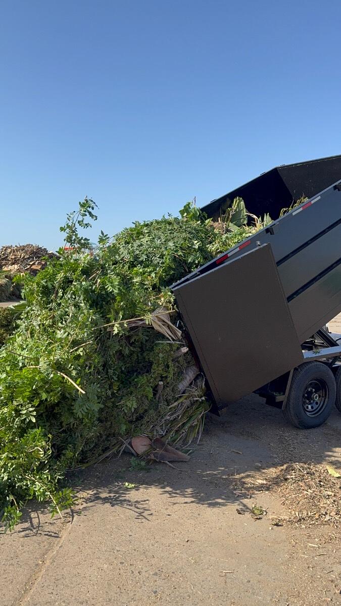 2024 Dump Trailer Junk Hauler, tree debris etc