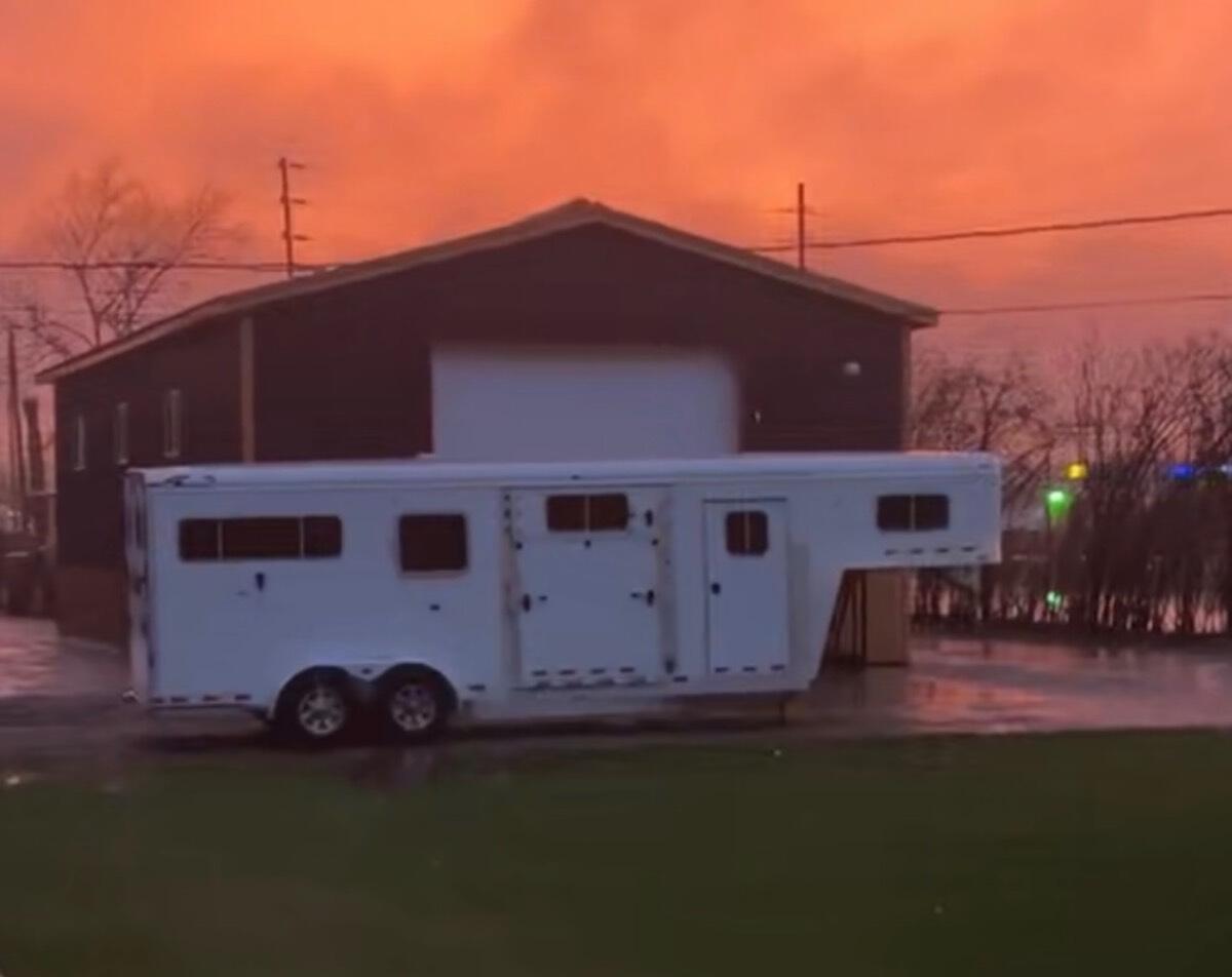 2015 4Star 2+1 warmblood extra tall and wide extra tall