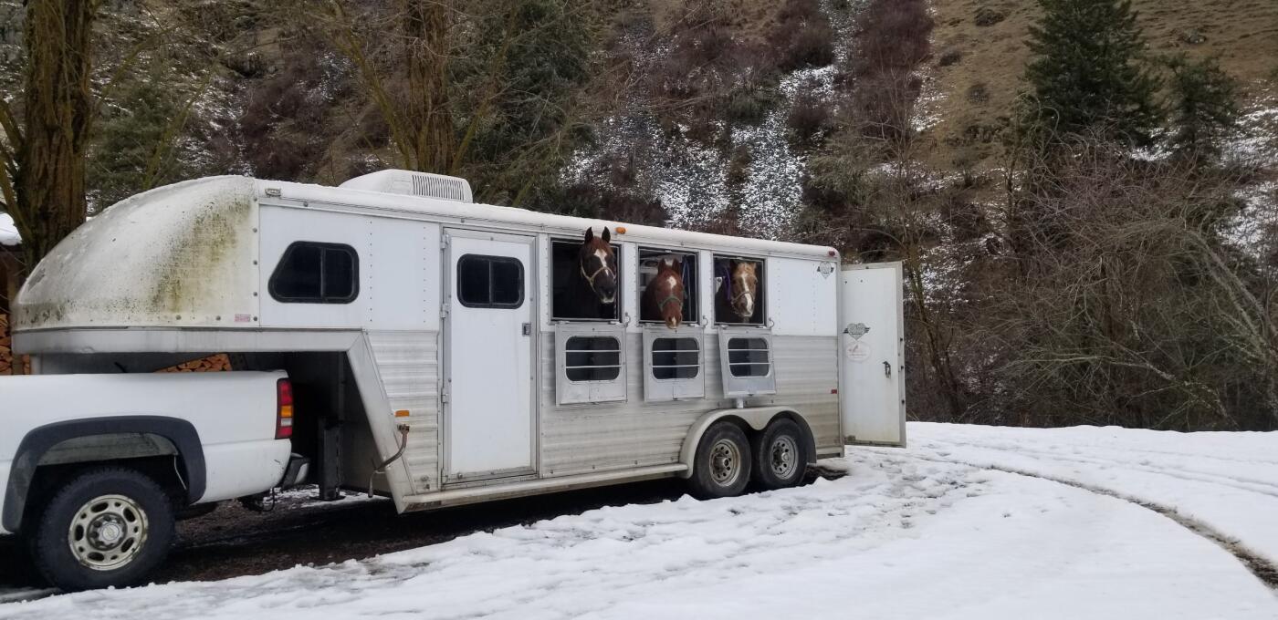 1997 Hart 3 horse gooseneck trailer
