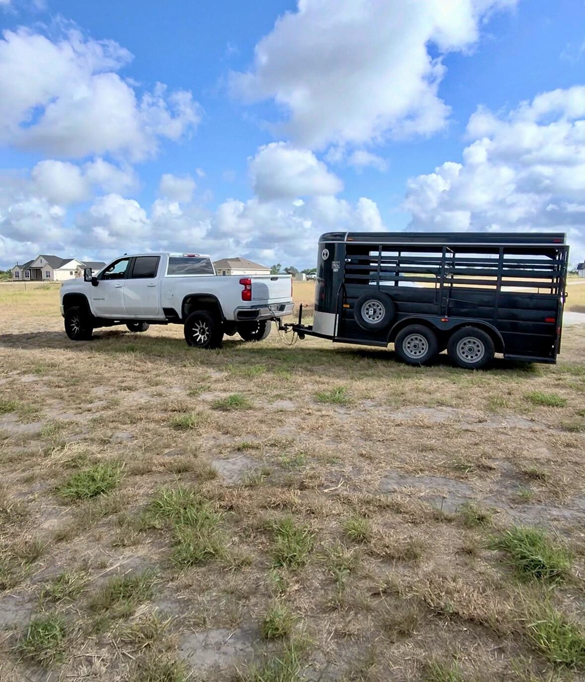 2022 W-W Livestock