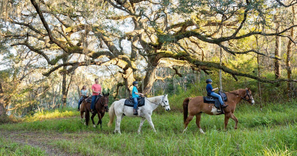Trailer rental in the Ocala area
