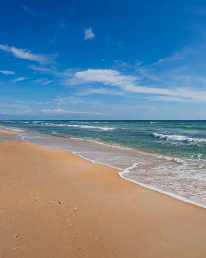 Trailer rental in the Palm Coast area