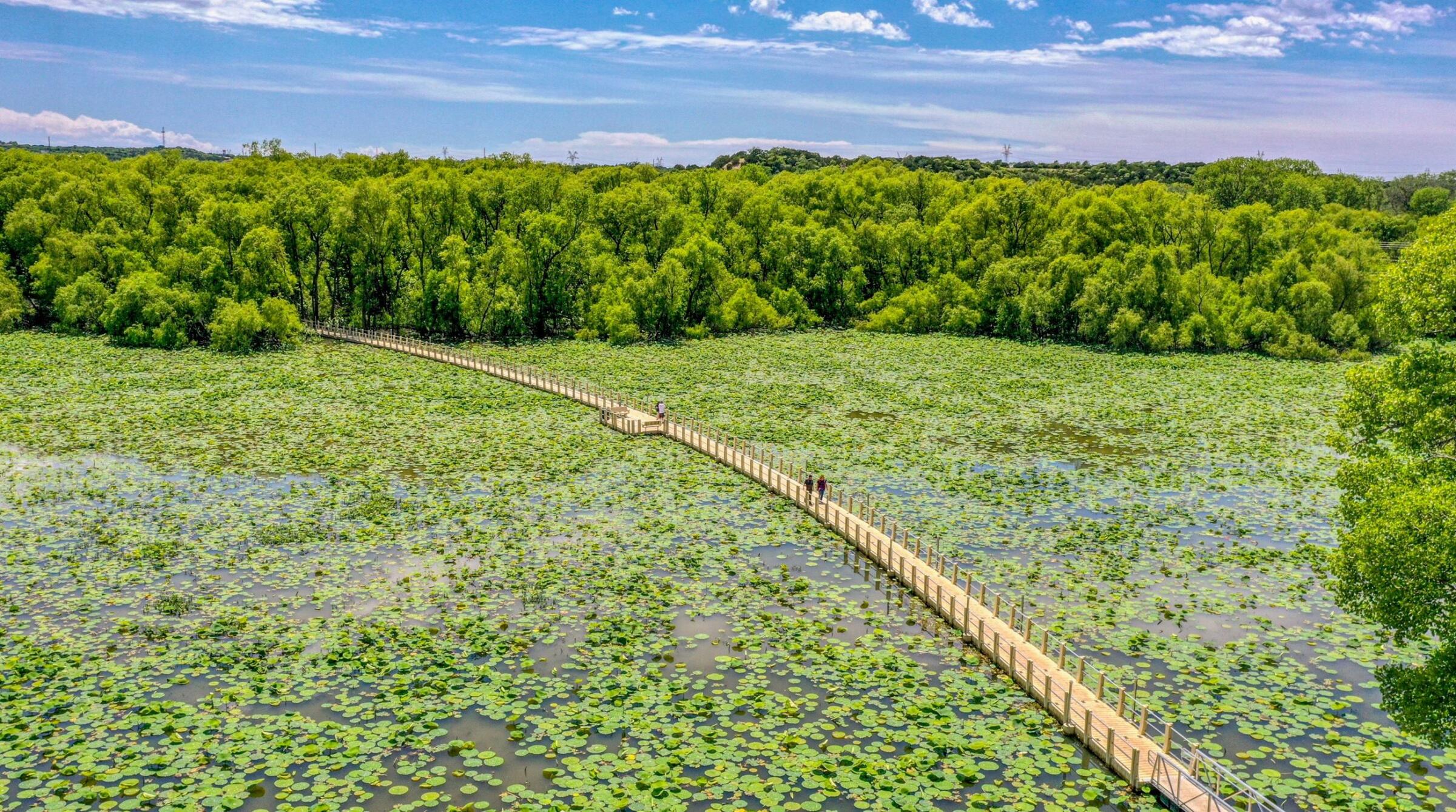 Trailer rental in the Weatherford area
