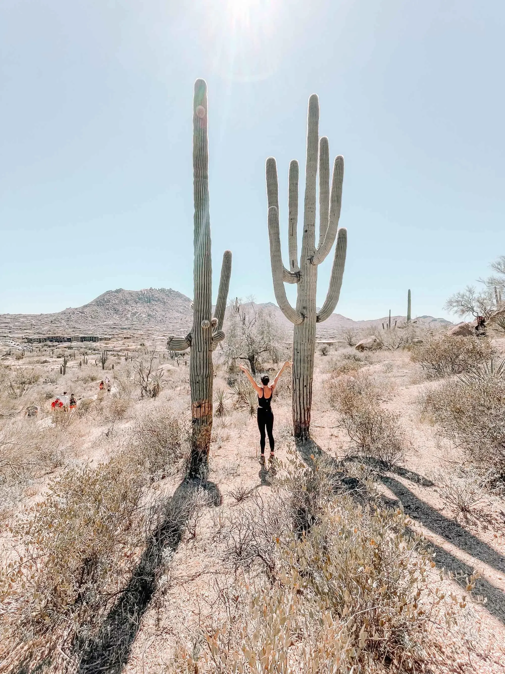 Trailer rental in the Scottsdale area