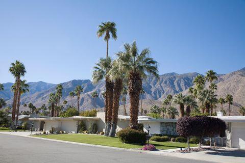 Trailer rental in the San Tan Valley area
