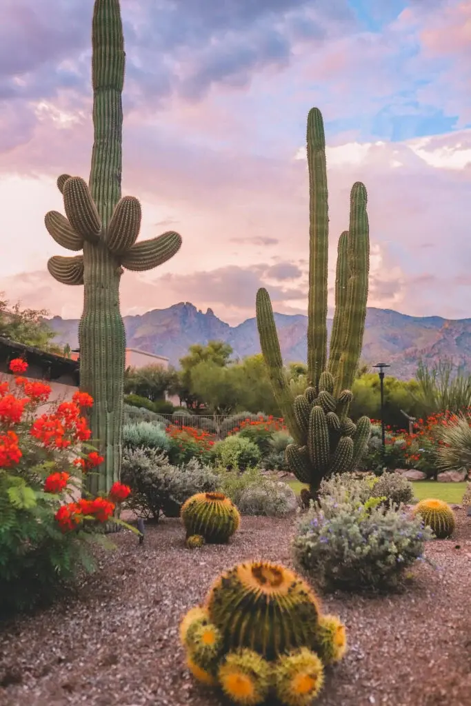 Trailer rental in the Tucson area